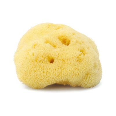 FINA SILK SEA SPONGE