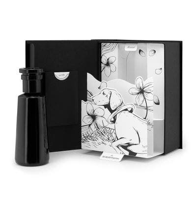 LES PARFUMS INFINIS EVERYMAN