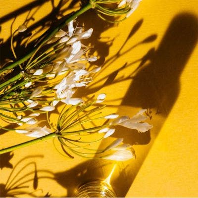 GOLDEN NEROLI