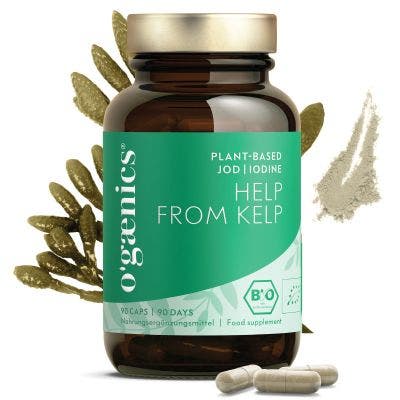 HELP FROM KELP PLANT-BASED IODINE 90CAPS