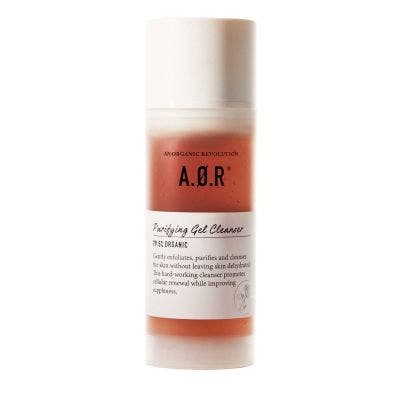 PURIFYING GEL CLEANSER