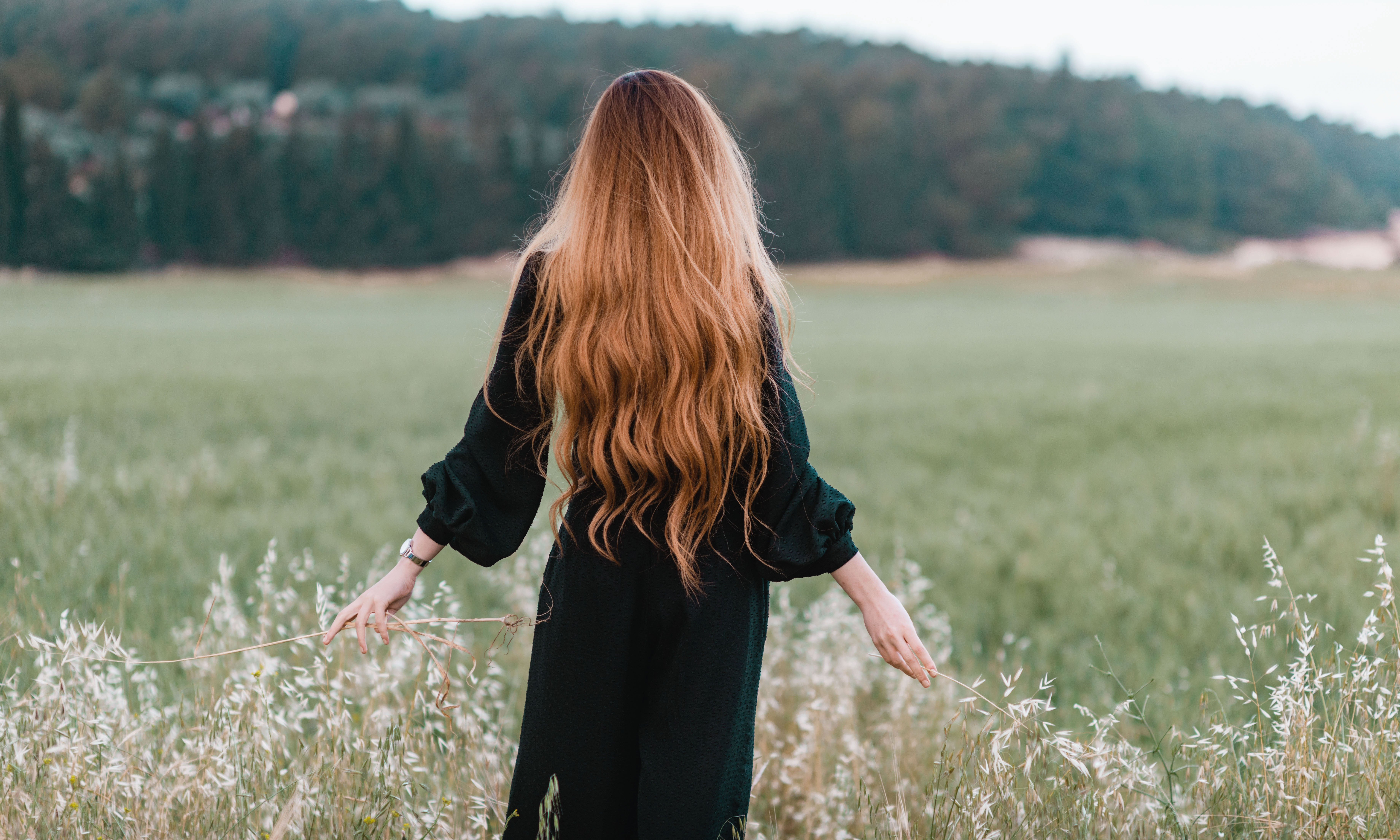 Everything You Need to Know about Hair Loss