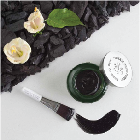 seed to skin black magic clay mask