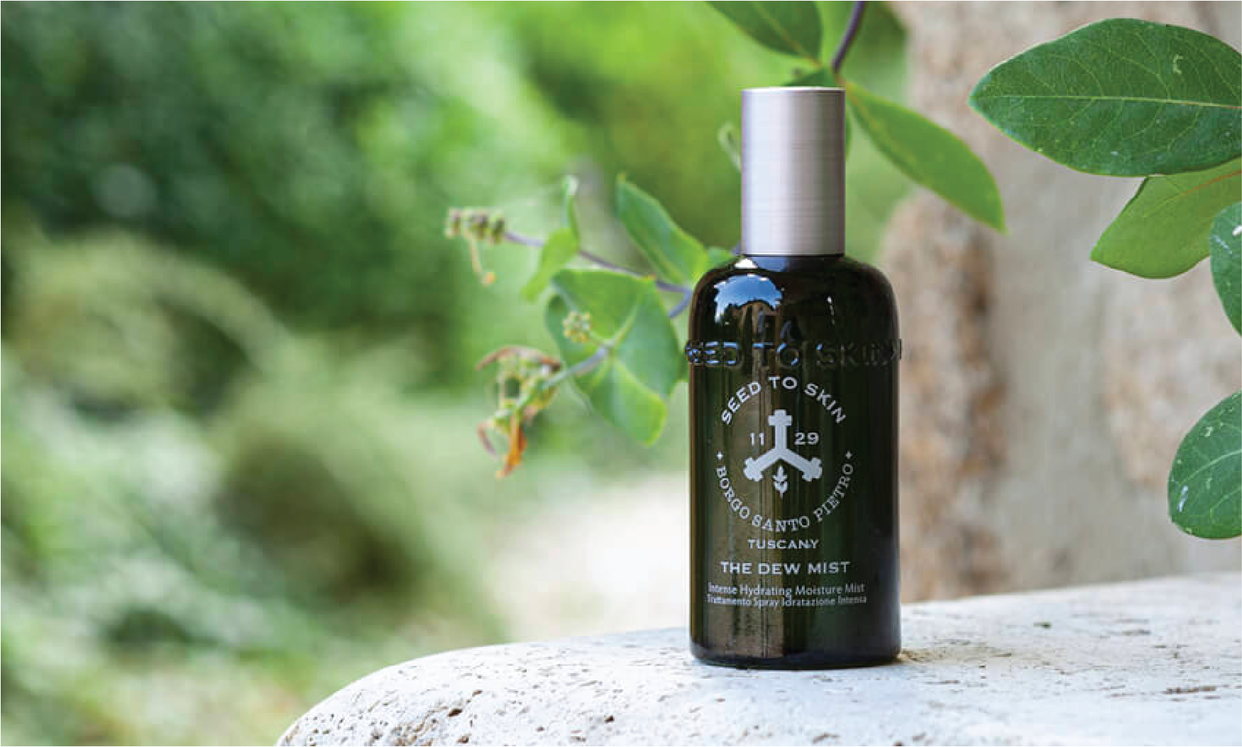 SEED TO SKIN The Dew Mist best skincare product