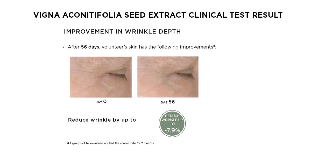 Vigna aconitifolia seed extract  clinical test results wrinkle reduction